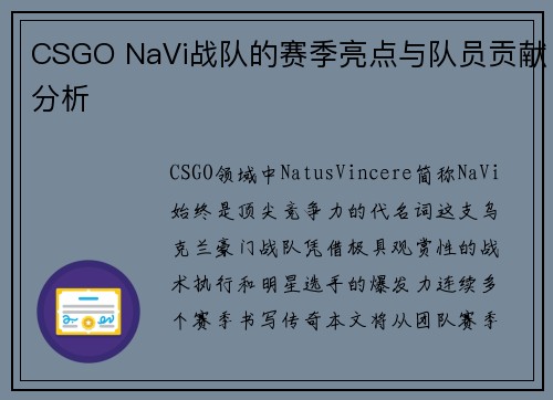 CSGO NaVi战队的赛季亮点与队员贡献分析